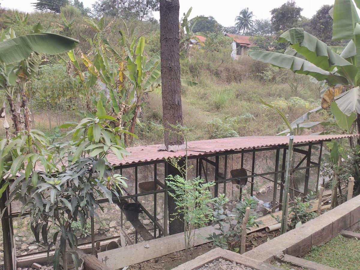 Padalarang Nabila Syar'I Guest House מראה חיצוני תמונה
